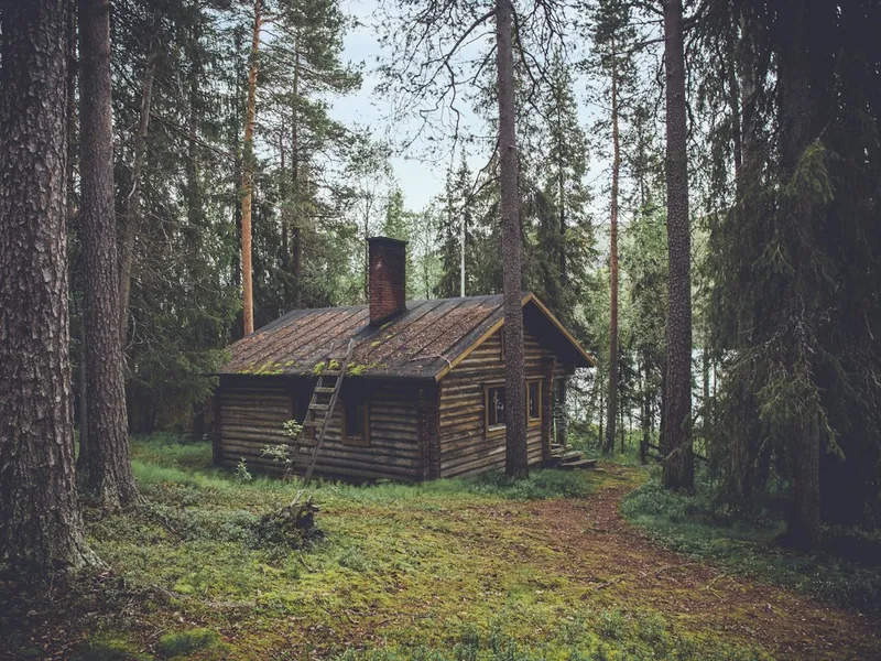Old wooden cabin in the middle of a forest