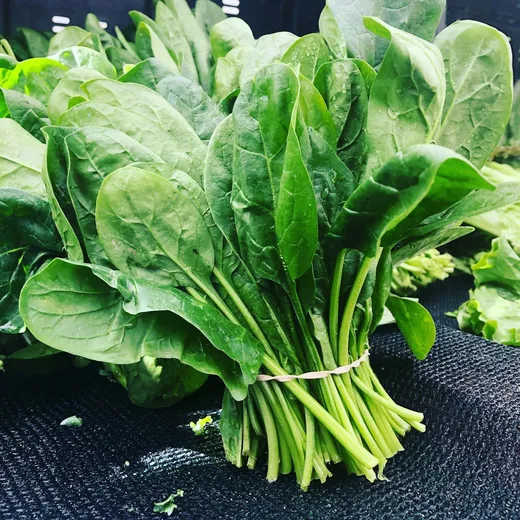Bunch of green chard leaves